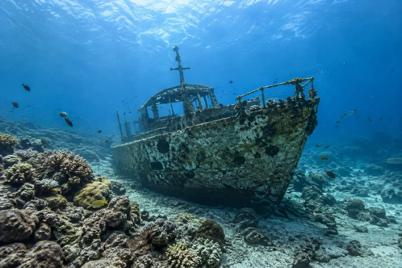 Illustration of a wreck beside a reef